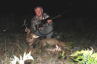 Hog Deer Hunting Australia