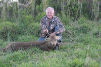 Hog Deer Hunting Australia