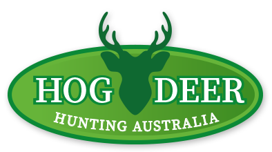 Hog Deer Hunting Australia